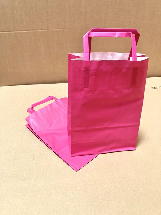 Sacos de Papel com Asa Plana