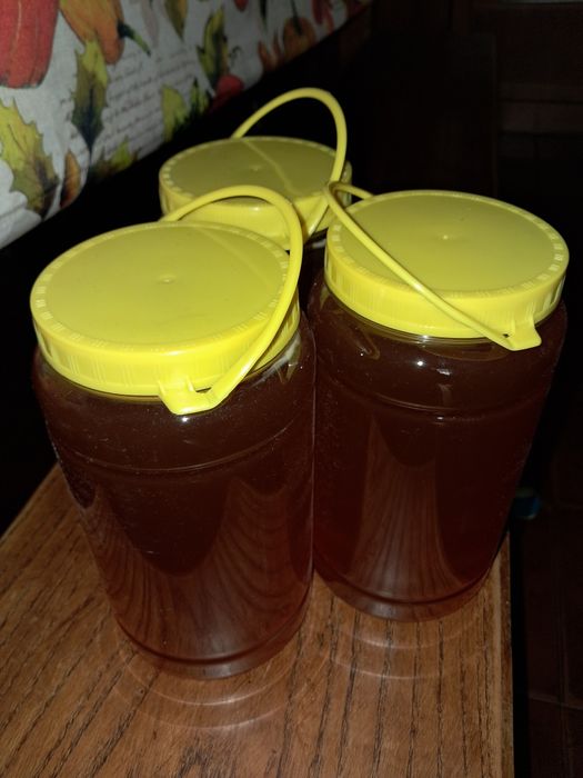 Mel multifloral - produção familiar