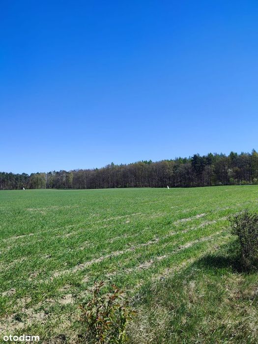5 Działkek Z 10 Warunkami Zabudowy Bliźniaczej Cel Inwestycyjny 6260M2