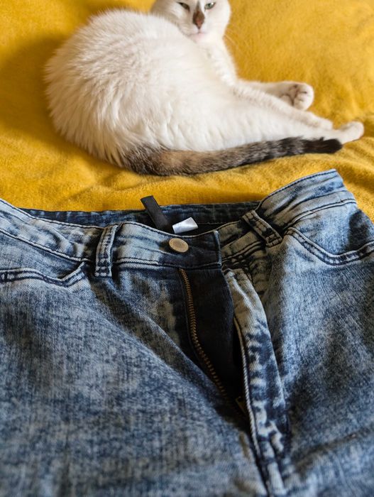 Męskie niebieskie joggery DIVIDED H&M rozmiar S 36