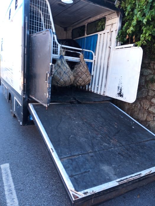 Venda de camiões Iveco e Renault