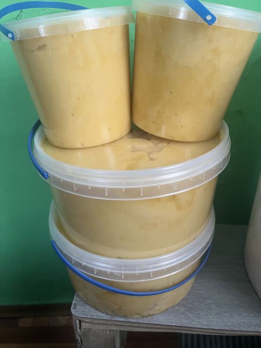 Мед соняшниковий