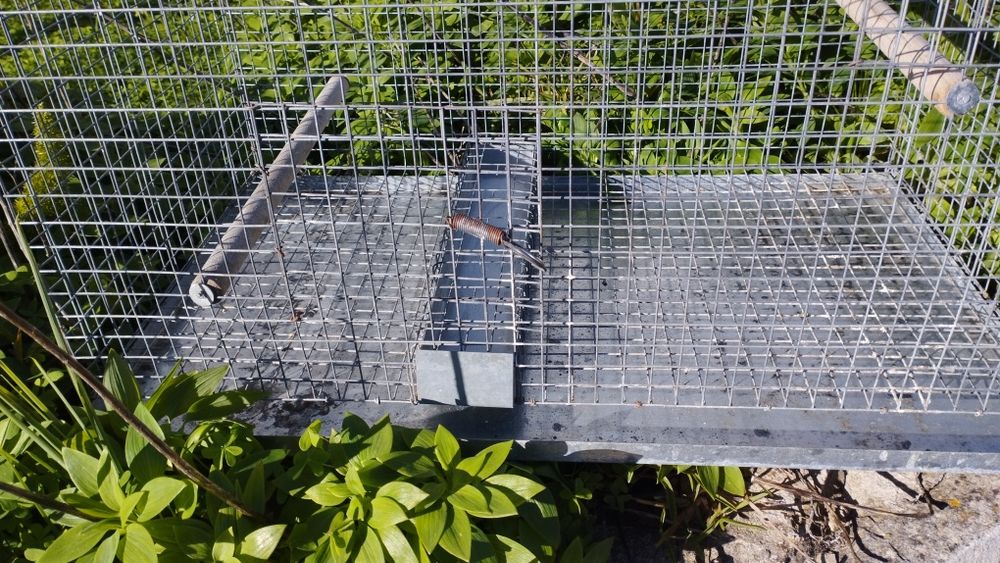 Viveiro para pássaros