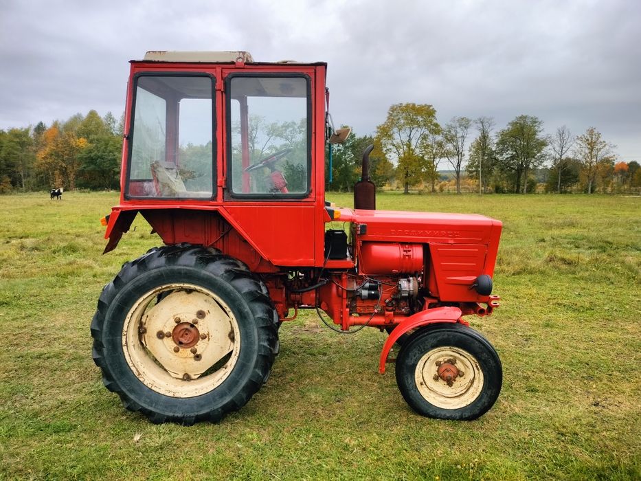 Władymirec władek t25