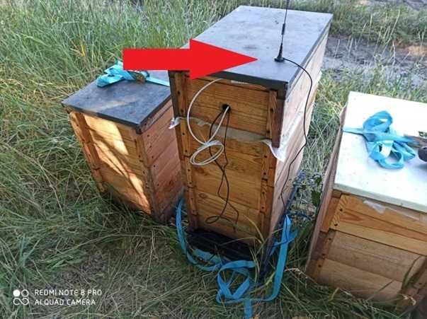 Весы пасечные WiFi + GSM 4G BH-1 ваги для пасіки