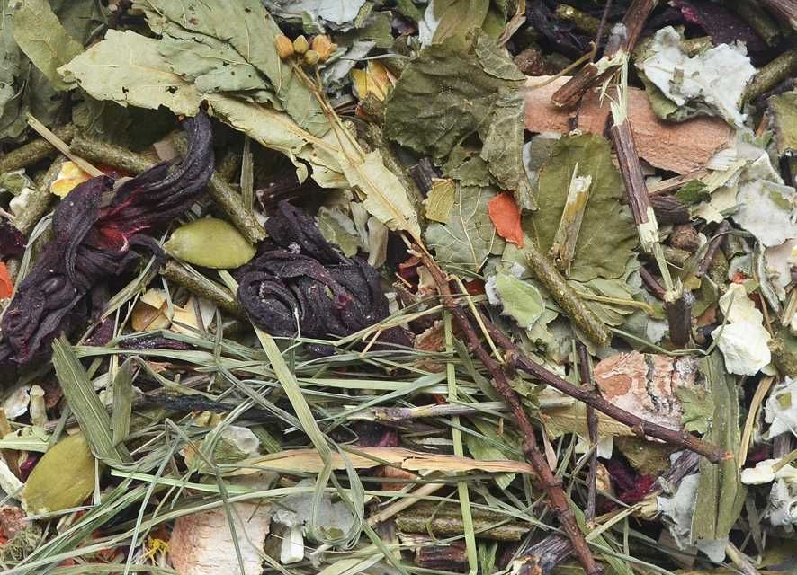 Karma dla Świnki Morskiej Korona Natury 1,6kg MASSON