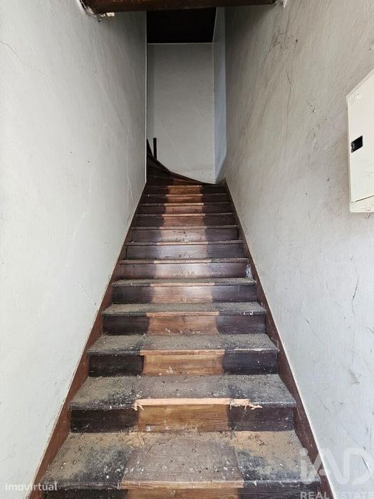 Quinta T3 em Torres Novas (Santa Maria, Salvador e Santiago) de 244 m2