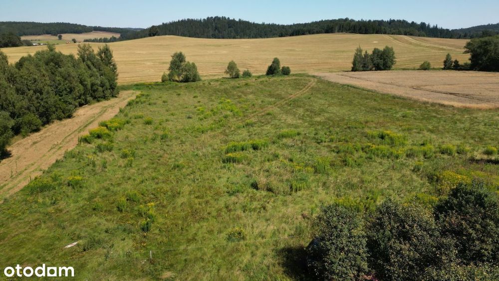 Pogórze Izerskie - Działka Siedliskowa+Rola - Widok 4
