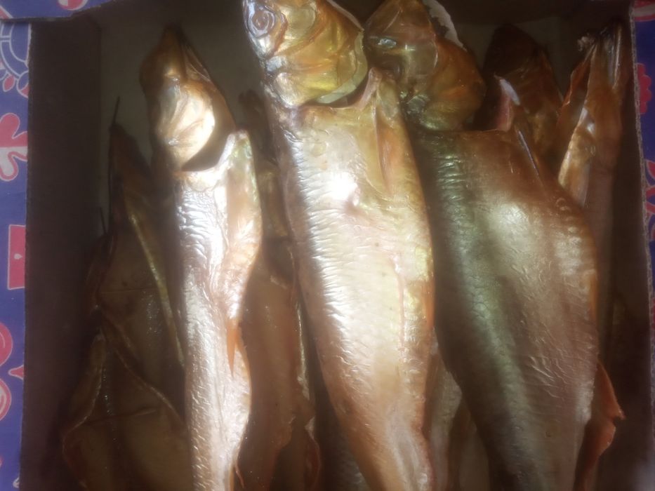 Продам дунайскую сельдь, дунайку: 350 грн. - Продукти харчування ...