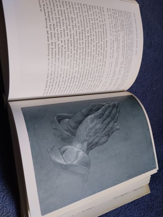 Die Dürer Zeichnungen der Albertina. Walther Koschatzky, Alice Strobl