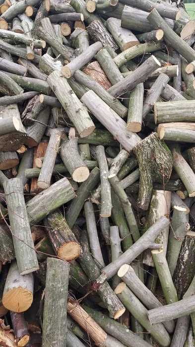 Drewno drzewo opałowe kominkowe gałęziówka pocięte suche sezonowane