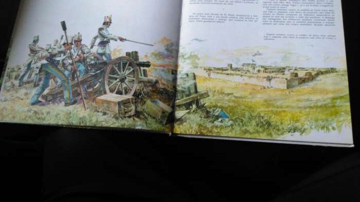 O Filho de David Crockett