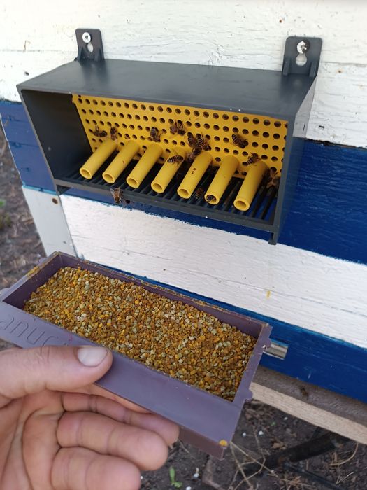 Продам бджолиний пилок45грза 100грамм