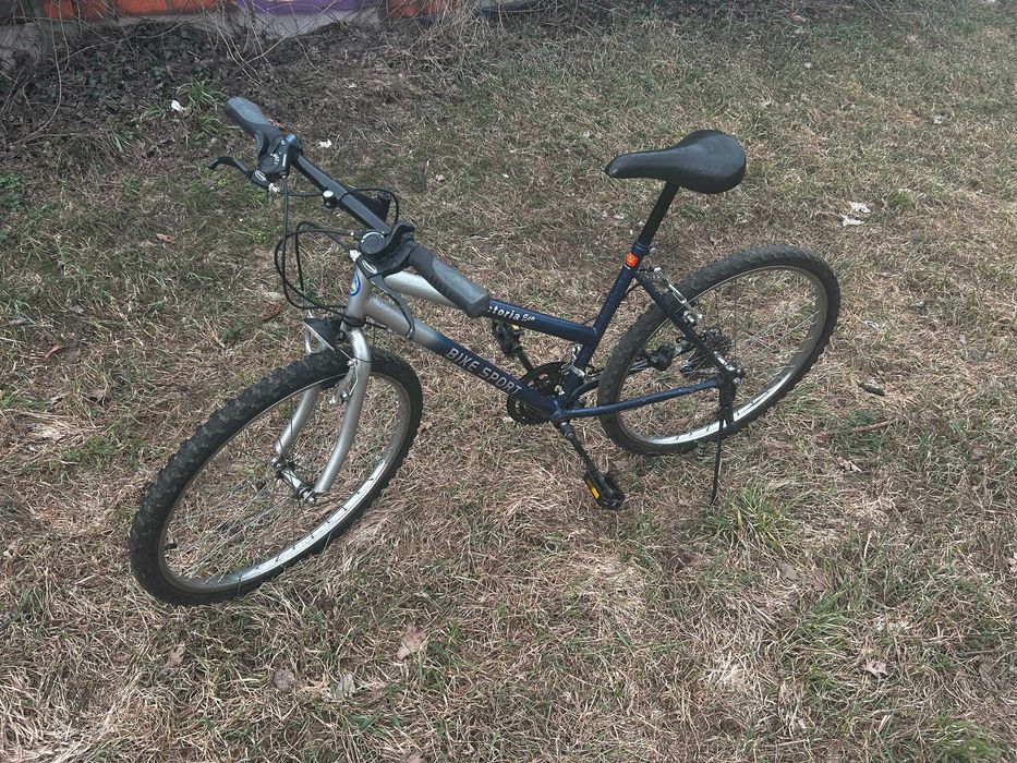 Rower Bike Sport Vicroria Eco