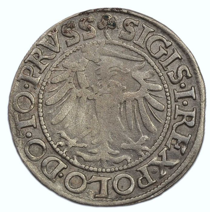 Zygmunt I Stary, Grosz 1539, Elbląg