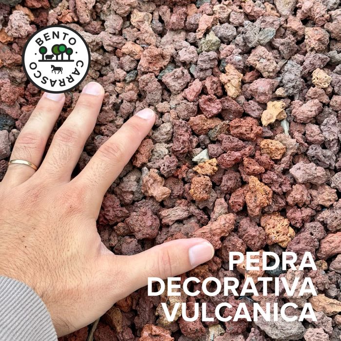 Seixo Rolado - Pedras Decorativas