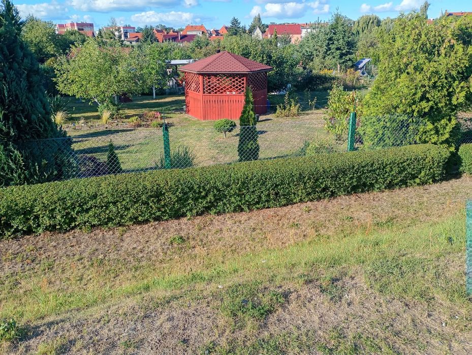 Działka ROD 5,2 ara