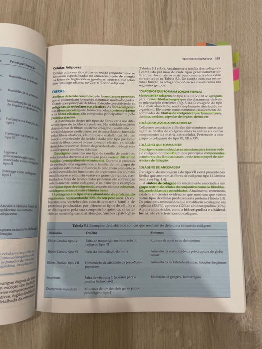 Atlas : histologia básica Junqueira