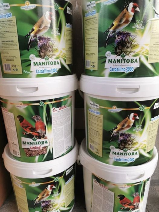 Comidas aves exoticas