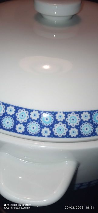 Terrina SP Coimbra (Miosótis)