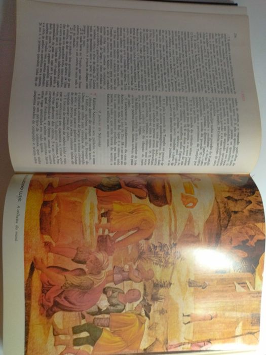 BIBLIA Ilustrada (+ de 1089 páginas)