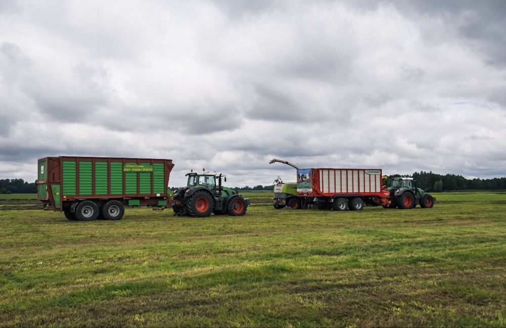 Zbiór kukurydzy na kiszonkę | Koszenie kukurydzy | Fendt Katana | Claas Jaguar |