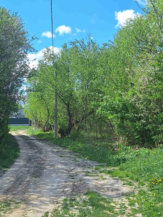 Земельна ділянка Требухів