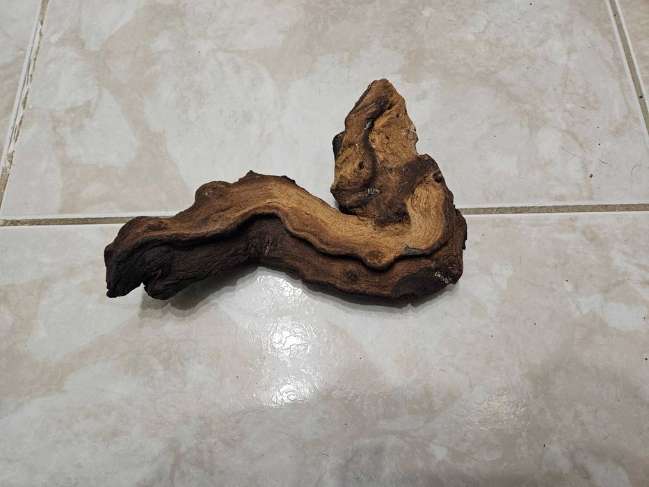 Diverso Material RÉPTEIS