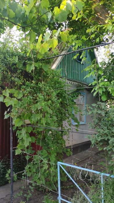 Продам дачу біля   міста  Пваденноккраїеська  в кооперативе  "Протон ".