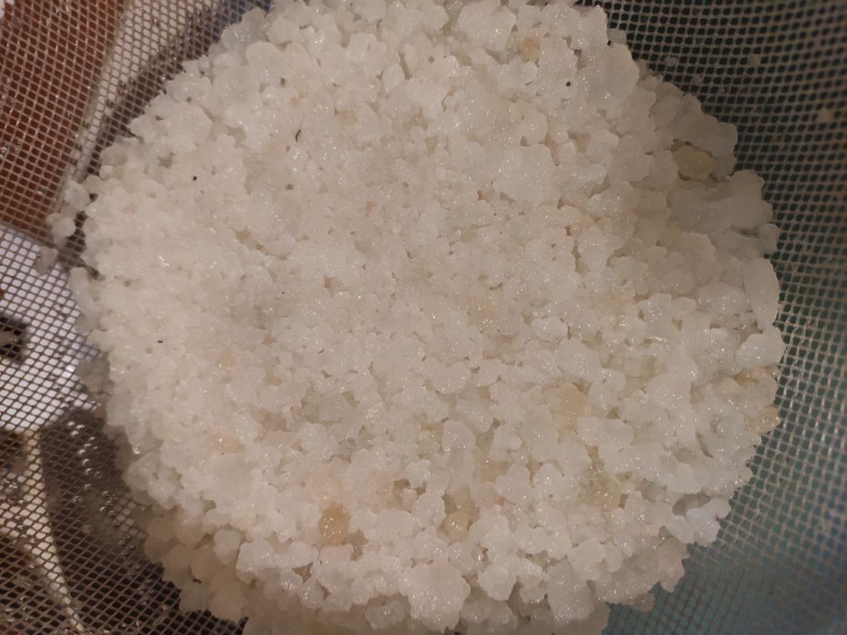 Kefir de água - probiótico