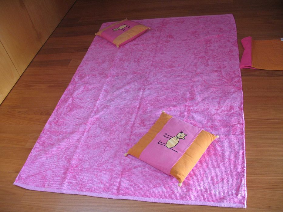 Utilitários para casa gato preto