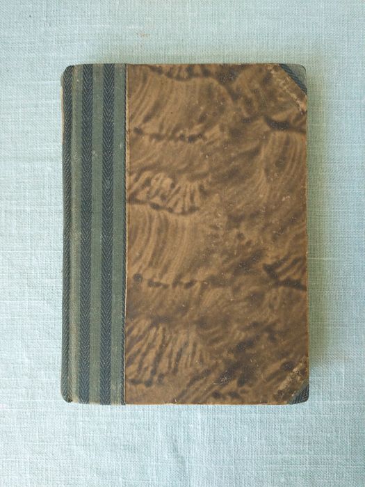 A step szumi, dzwoni, gra - W. Milowicz 1929