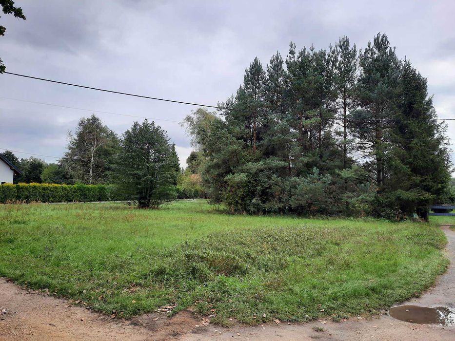 Działka budowlana 1785 m² w Rokitnie Szlacheckim /k.Zawiercia - Widok 4