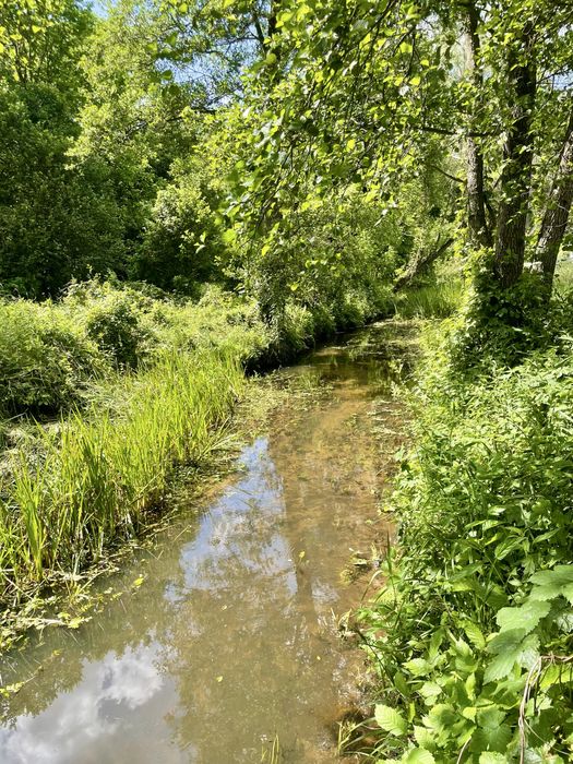Przepiekne Siedlisko domek caloroczny 1h od Warszawy
