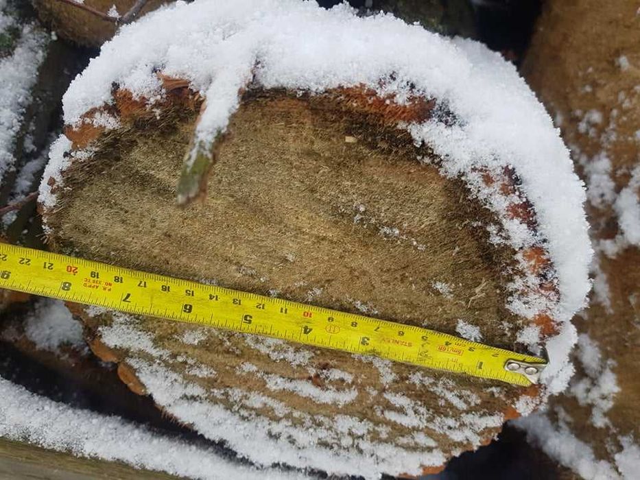 LIPA, drzewo lipowe, drewno na rzeźby, klocki, kłody