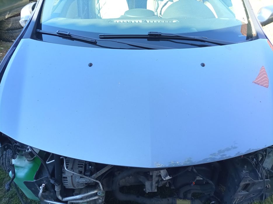 Maska Renault Clio III TEJ47