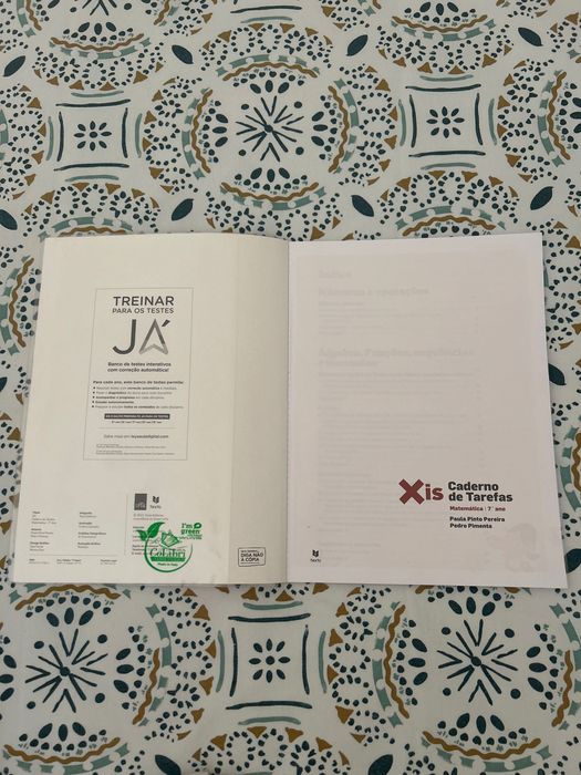 Caderno de Tarefas Matemática 7º Ano Xis