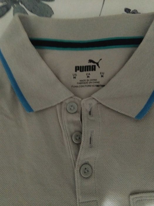Polo puma mercedes