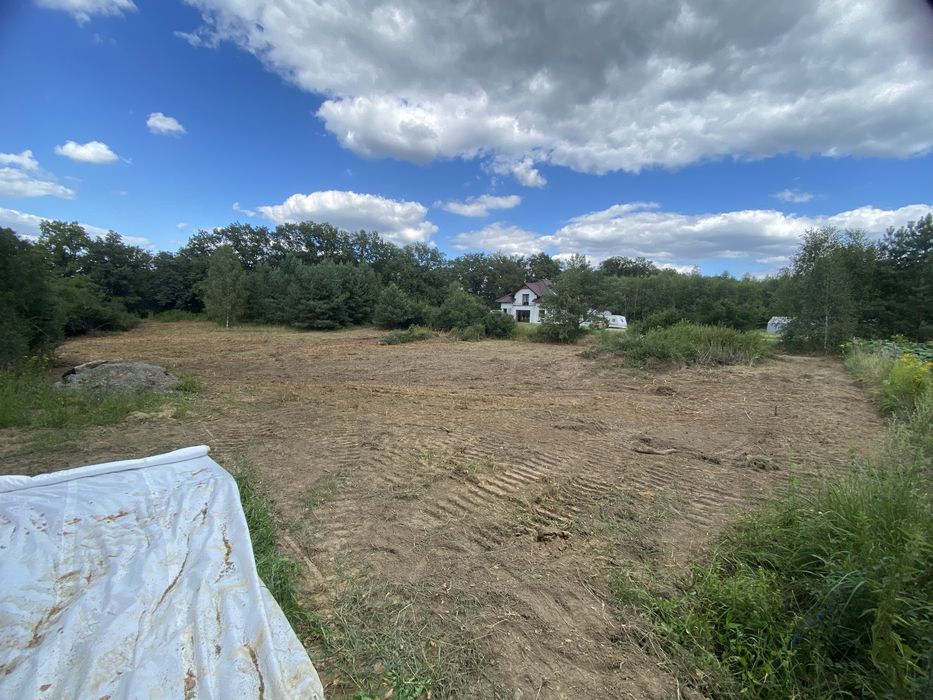 MULCZOWANIE MULCZER oczyszczanie terenu z trawy samosiejek drzew pni