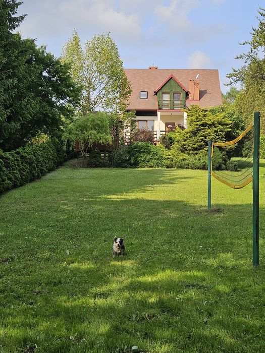 Domek nad jeziorem  do 10 osób Balia