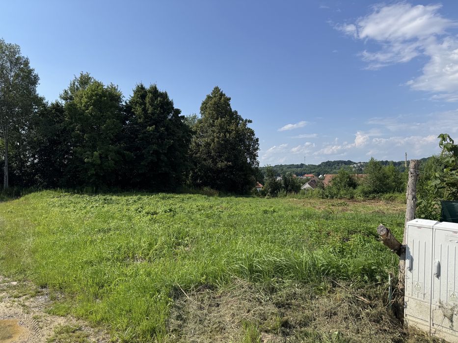 Zdjęcie 3