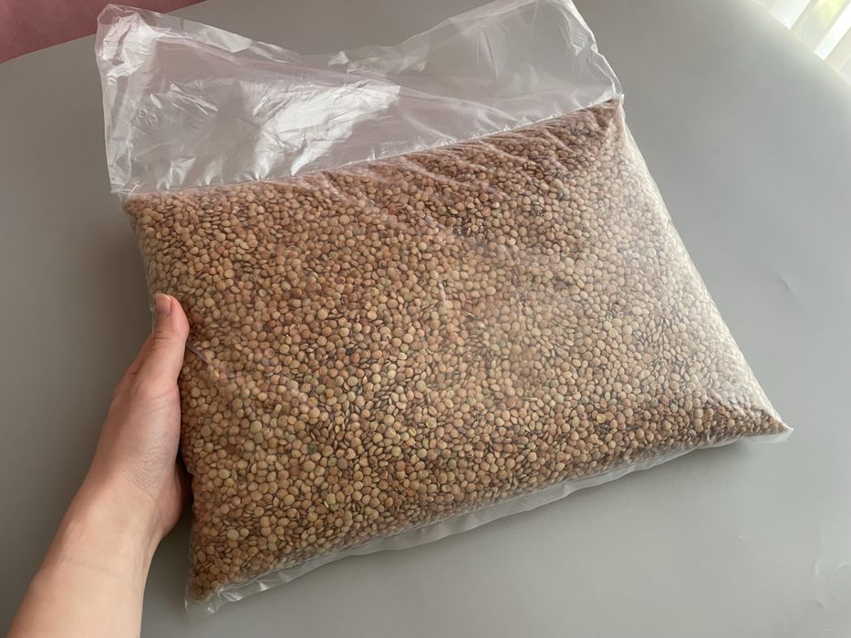 Зелена сочевиця. Чечевиця Крупи, зерно. Якісна, чиста, без сміття