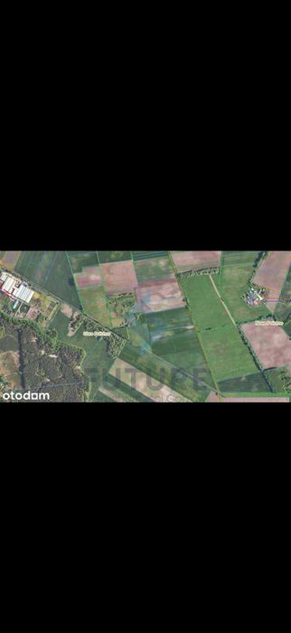 Działka rolna Stare Polichno – 1,39 ha - Widok 3
