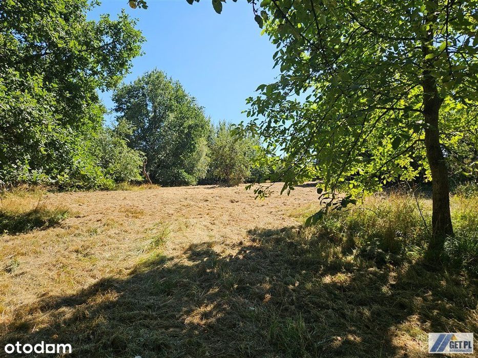 Działka, Tomaszkowice