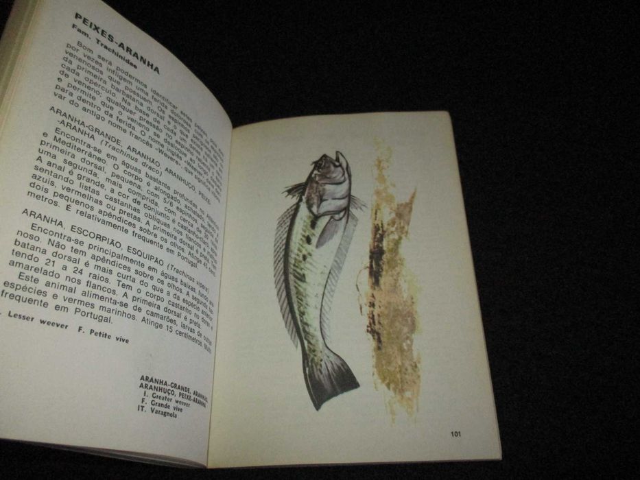 Livro Peixes Guia de Pesca Tony Burnand Bertrand