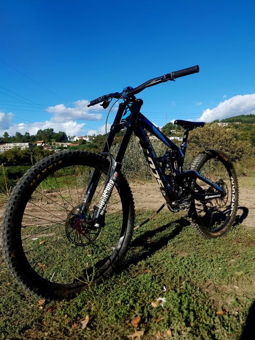 Quadro scott gambler