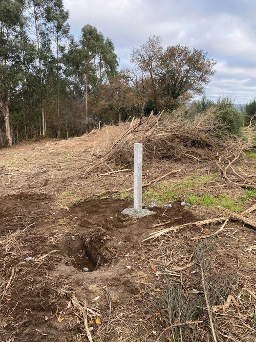 Terreno 10.000 m/2 com mina de água permanente / 10,000 m² (1 ha) plot of land with a permanent water spring