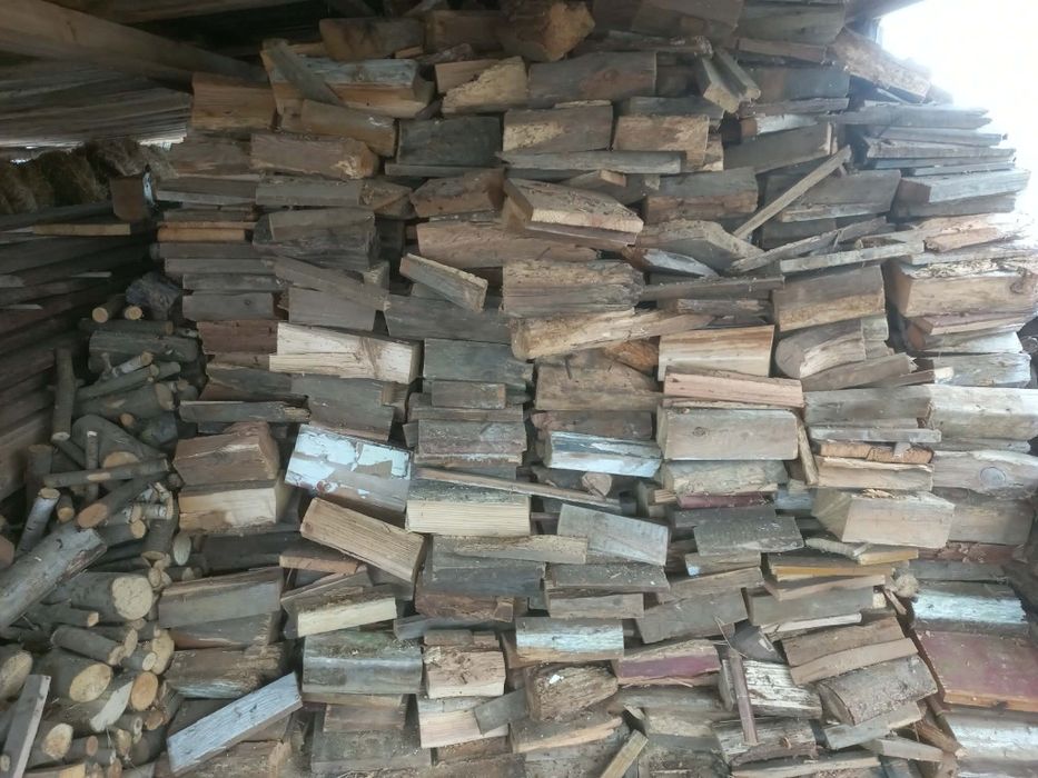 Sprzedam drzewo widoczne na zdjęciach