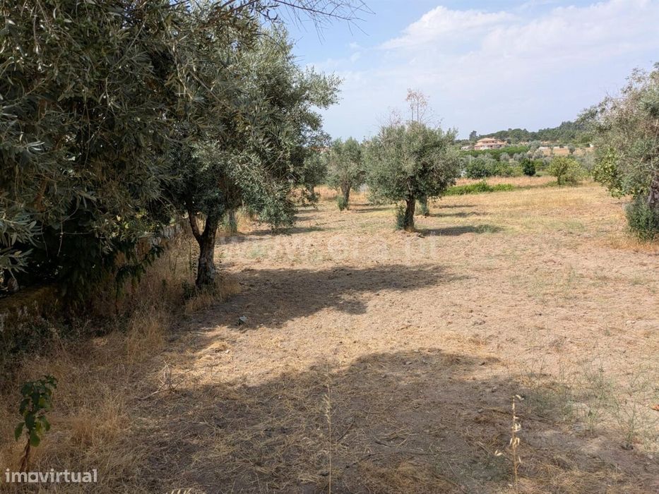 Terreno / Gouveia, Vila Nova de Tazem