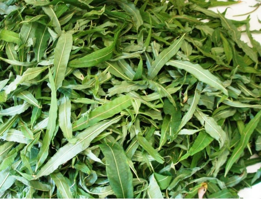 Іван чай 2025 р кипрей,сухий ,сухе листя,чай зелений , листовий кіпрей